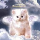 Андрій Олійник фотография #26 (источник - https://vk.com/id153356557)