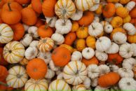 Фотография Носковой Александры