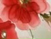 Маша Петрова фотография #18 (источник - https://vk.com/id405203)