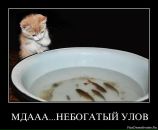 Наталія Ольшанецька фотография #33 (источник - https://vk.com/id24076933)