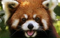 Фотография Макаровой Аксиньи