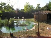 Іра Петрова фотография #4 (источник - https://vk.com/id114745518)