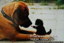 Ірина Демешкіна фотография #28 (источник - https://vk.com/id60720086)
