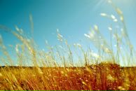 Santiago Decuba фотография #39 (источник - https://vk.com/id691073)