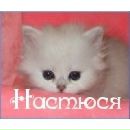 Анастасія Чмут фотография #29 (источник - https://vk.com/id67907760)