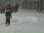 Сергій Алексеенко фотография #25 (источник - https://vk.com/id12124620)