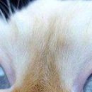 Андрій Яровий фотография #7 (источник - https://vk.com/id28962200)