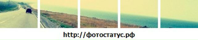 Anna Romanko фотография #31 (источник - https://vk.com/id8090988)