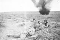 Mr Птиц фотография #1