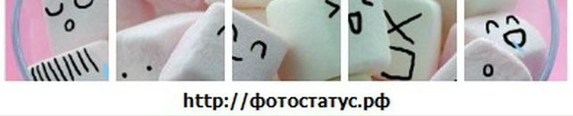 Светлана Чернова фотография #29 (источник - https://vk.com/id18383862)