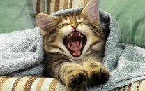 Дмитрий Белясник фотография #40 (источник - https://vk.com/id4859648)