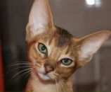 Фотография Ершовой Светланы