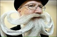 Фотография Гнеушева Алексея