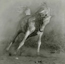 Οлеся Κудрявцева фотография #7 (источник - https://vk.com/id169427654)