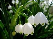 Тетяна Вагіна фотография #32 (источник - https://vk.com/id157966149)