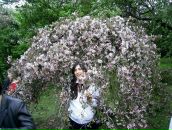 Наташа Паланичко(чернелівська) фотография #1