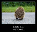 Фотография Модяновой Татьяны