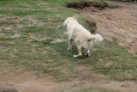 Иван Любченко фотография #28 (источник - https://vk.com/id682883)