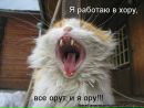 Фотография Баевой-Барсовой Анны