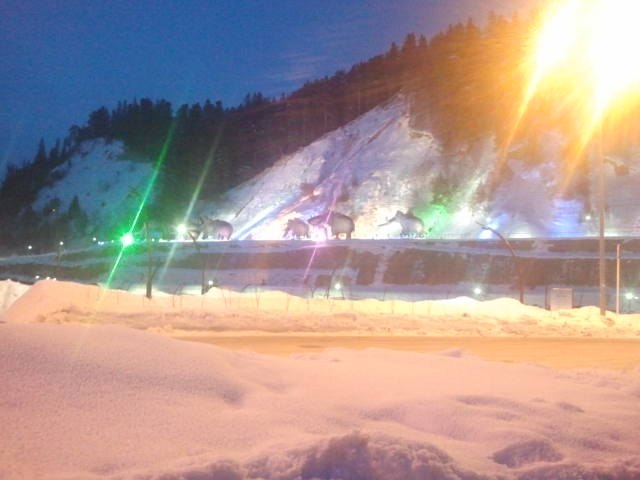 Дмитрий Зырянов фотография #36