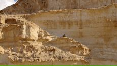 Олег Евсюков фотография #30 (источник - https://vk.com/id14283329)