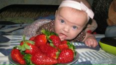 Фотография Ребезов Евгений