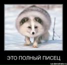 Фотография Марининой Светланы