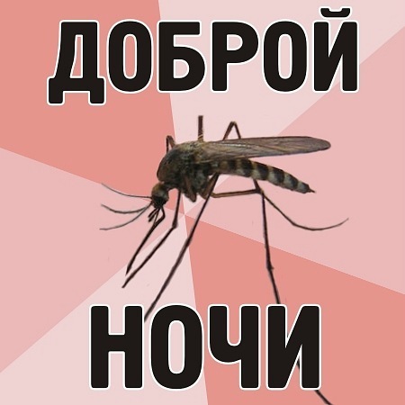№6, Серёжа Трой, 40 лет, Москва №6, Серёжа Трой, 40 лет, Москва