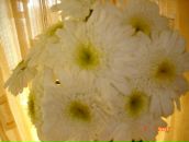 Фотография Беловой Ирины