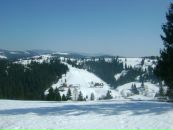 Діма Калінчук фотография #43 (источник - https://vk.com/id137812248)