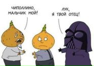 Alex Alex фотография #29 (источник - https://vk.com/id862591)