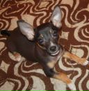 Фотография Сабитовой Лилии