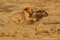 Юрій Кіраль фотография #17 (источник - https://vk.com/id22913482)