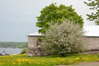 Любовь Κарасева фотография #3 (источник - https://vk.com/id126393476)