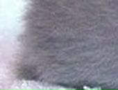 Лера Лоц фотография #3 (источник - https://vk.com/id57504657)