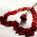 Блум Вінкс фотография #3 (источник - https://vk.com/id172496996)