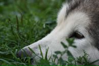 Фотография Марковой Ольги