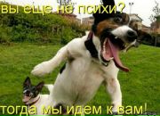 Ліза Найдьонова фотография #43 (источник - https://vk.com/id161034164)