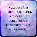 Настінька Бутенко фотография #4 (источник - https://vk.com/id147270148)