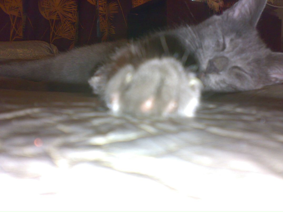 Денис Купцов фотография #15