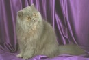 Фотография Маринка Андрейченко