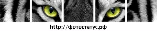 Богдана Форостян фотография #26 (источник - https://vk.com/id132615657)