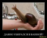 Фотография Лысенко-Хамутовой Майноры