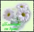 Юлічка Тишенко фотография #40 (источник - https://vk.com/id149120130)