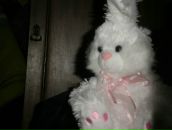 Фотография Смирновой Дарьи