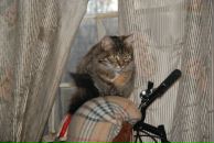 Ян Сидоренко фотография #32 (источник - https://vk.com/id2226438)