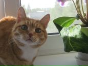 Фотография Кулябина Александра