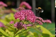 Фотография Фоменко Екатерины