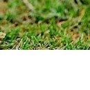 Іванна Панчук фотография #50 (источник - https://vk.com/id70090382)