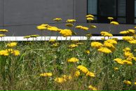 Lana Cr фотография #37 (источник - https://vk.com/id1015047)